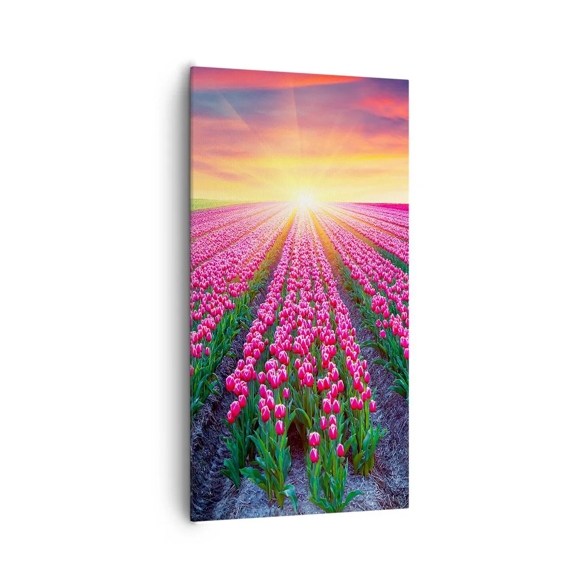 Impression sur toile - Image sur toile - Ferme de la beauté - 65x120 cm
