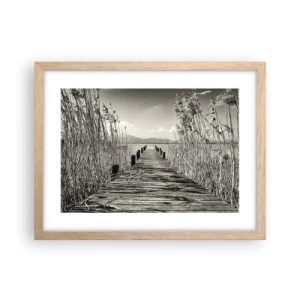 Affiche dans un chêne clair - Poster - Dans le calme de l'herbe - 40x30 cm