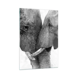 Impression sur verre - Image sur verre - Deux éléphants se touchant le front en noir et blanc - 50x70cm - Confession sincère - Décoration murale moderne pour le salon et la chambre ARTTOR
