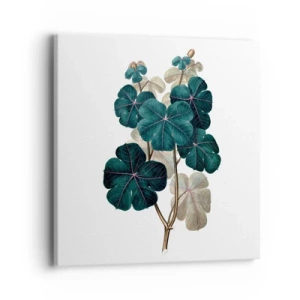 Impression sur toile - Image sur toile - De l'ancien herbier - 40x40 cm