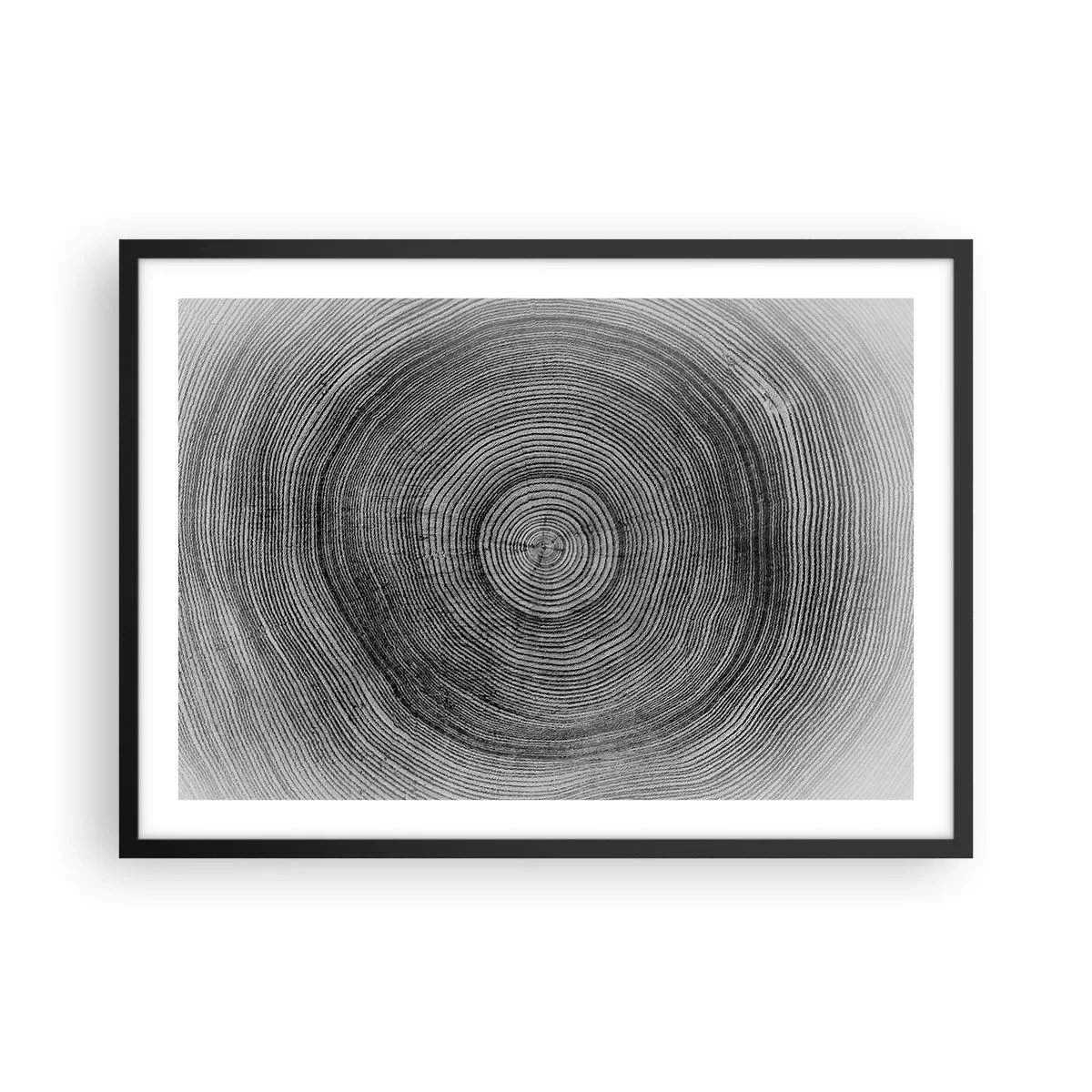 Affiche dans un cadre noir - Poster - Motif de cernes d'arbre noir et blanc montrant une coupe transversale du tronc - 70x50cm - Signe du temps - Décoration murale moderne pour le salon et la chambre ARTTOR