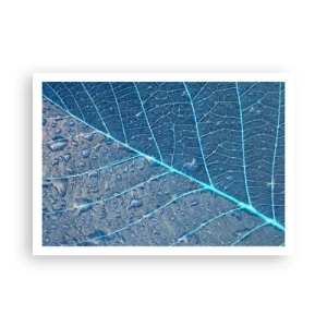 Affiche - Poster - Une feuille dans des tons bleus avec des gouttes d'eau - 100x70cm - La vie en bleu - Décoration murale moderne pour le salon et la chambre ARTTOR