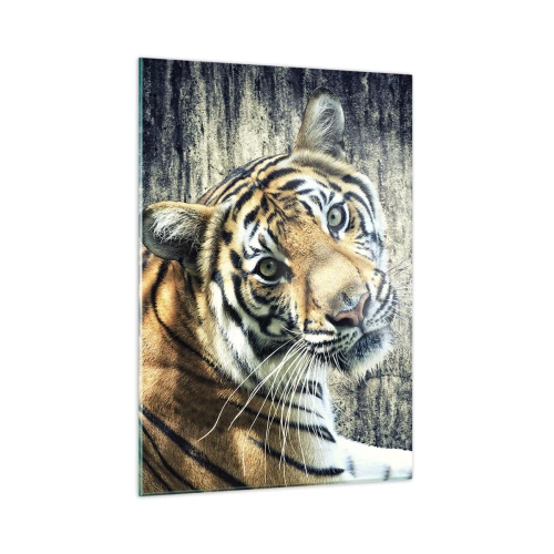 Impression sur verre - Image sur verre - Un tigre dans une pose naturelle contre un mur brut - 50x70cm - Portrait dans les flots de lumière - Décoration murale moderne pour le salon et la chambre ARTTOR