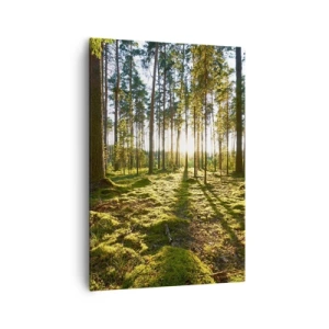 Impression sur toile - Image sur toile - Forêt verte illuminée par la lumière du soleil sur la mousse - 70x100cm - … Derrière les sept forêts - Décoration murale moderne pour le salon et la chambre ARTTOR