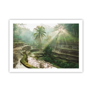 Affiche - Poster - Grandir au soleil - 70x50 cm