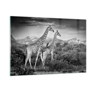 Impression sur verre - Image sur verre - Une photographie en noir et blanc de deux girafes dans la savane. - 120x80cm - Hautes sphères en Afrique - Décoration murale moderne pour le salon et la chambre ARTTOR