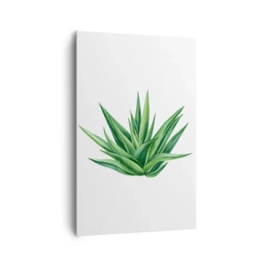 Impression sur toile - Image sur toile - Une plante verte juteuse sur fond blanc - 80x120cm - Vert – force – vie - Décoration murale moderne pour le salon et la chambre ARTTOR