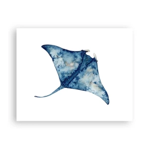 Affiche - Poster - La vie en bleu - 50x40 cm