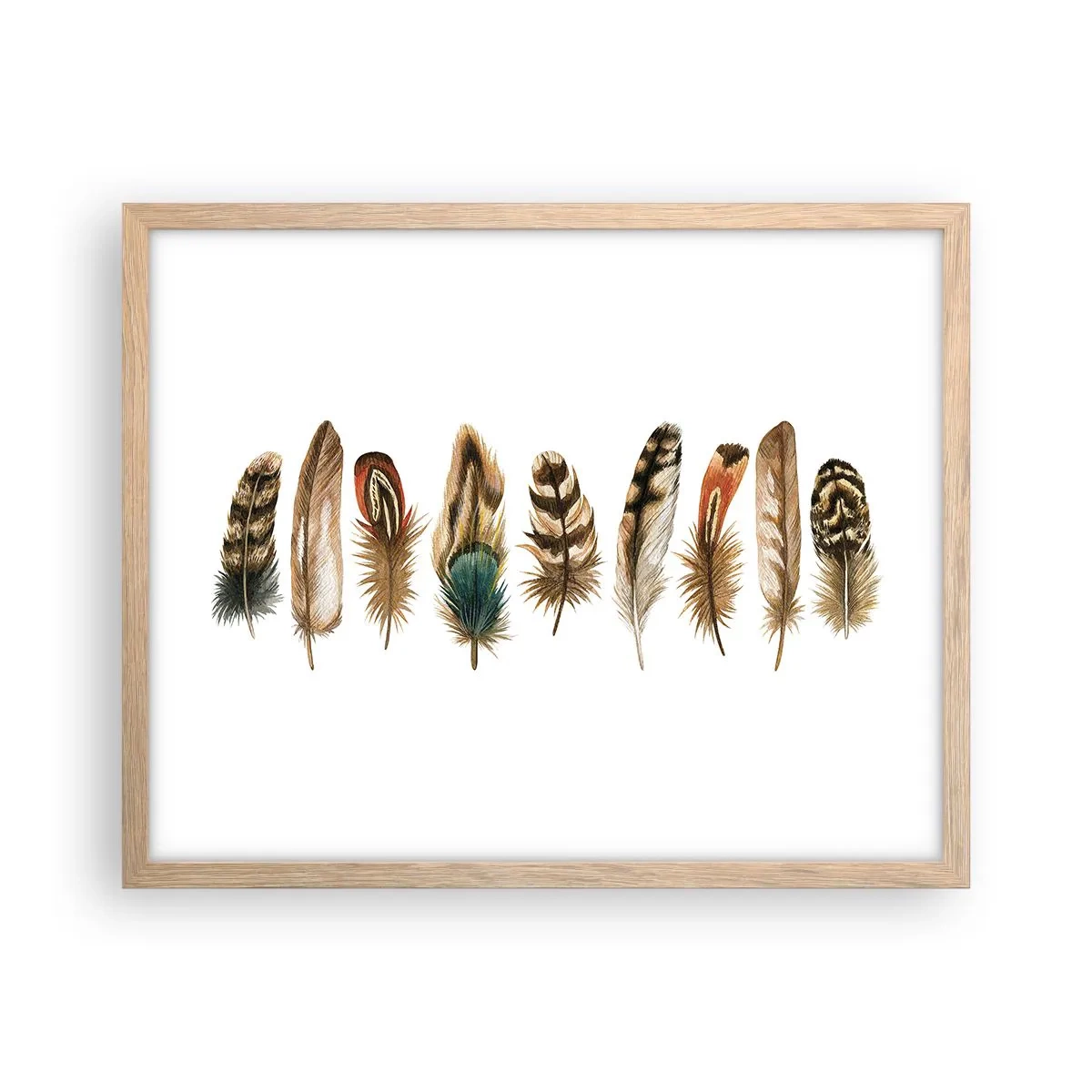 Affiche dans un chêne clair - Poster - Variation à plumes - 50x40 cm