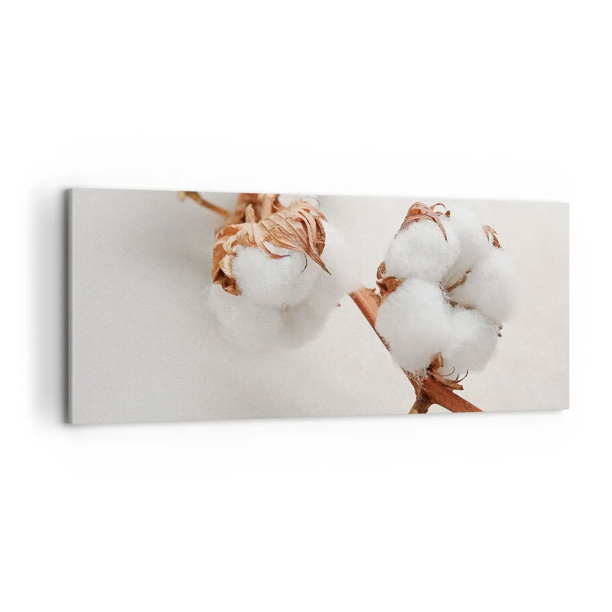 Impression sur toile - Image sur toile - Un brin de coton sur un fond subtil - 120x50cm - Seulement caliner - Décoration murale moderne pour le salon et la chambre ARTTOR