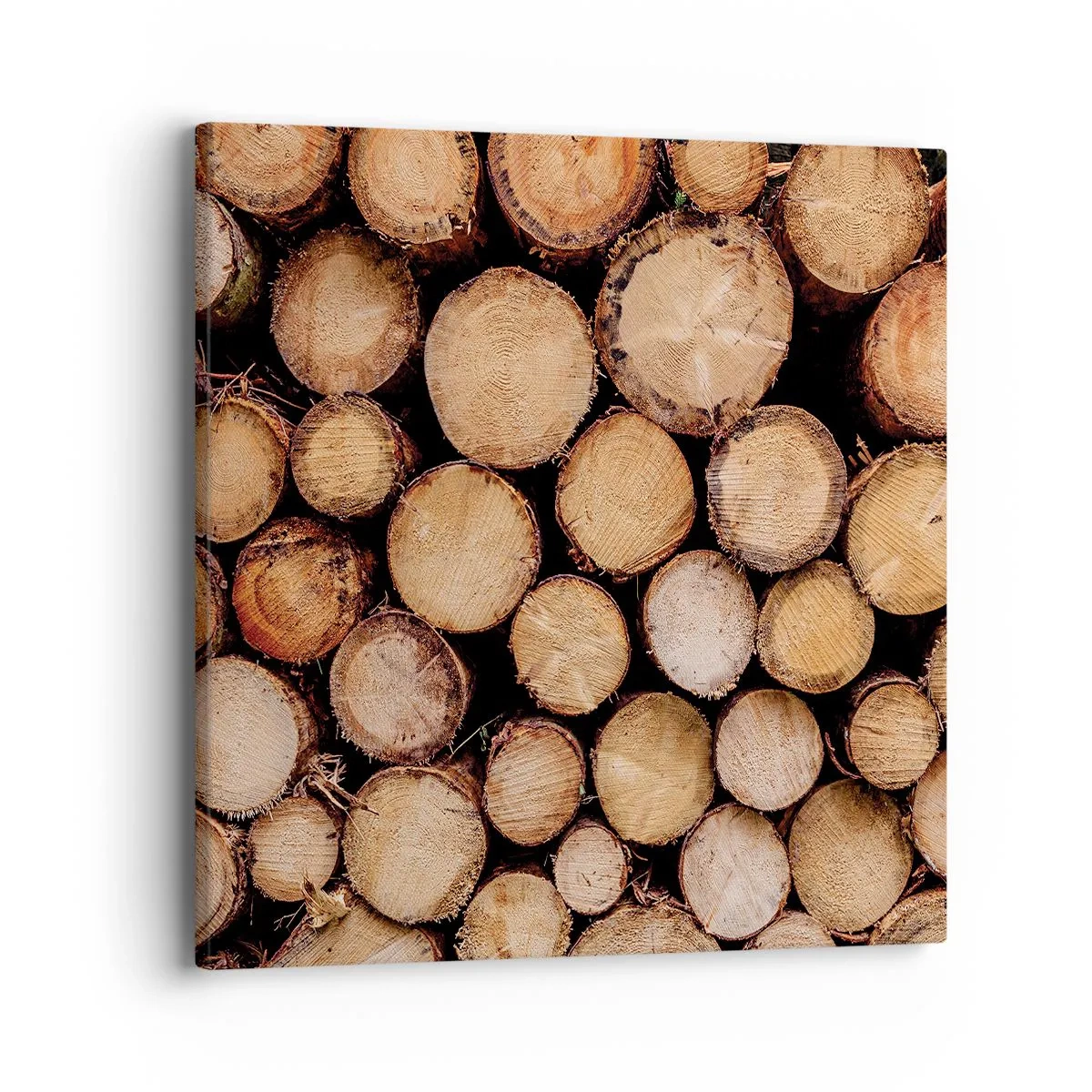 Impression sur toile - Image sur toile - Nouveau commencement - 40x40 cm