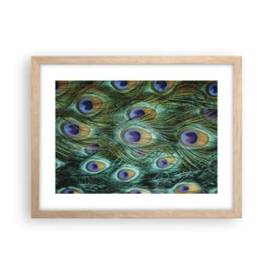 Affiche dans un chêne clair - Poster - Un regard de paon - 40x30 cm