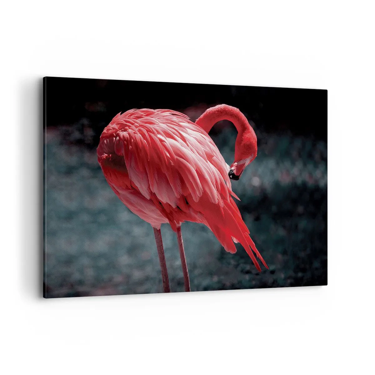 Impression sur toile - Image sur toile - Un flamant rose sur fond vert foncé - 100x70cm - Poème cramoisi de la nature - Décoration murale moderne pour le salon et la chambre ARTTOR