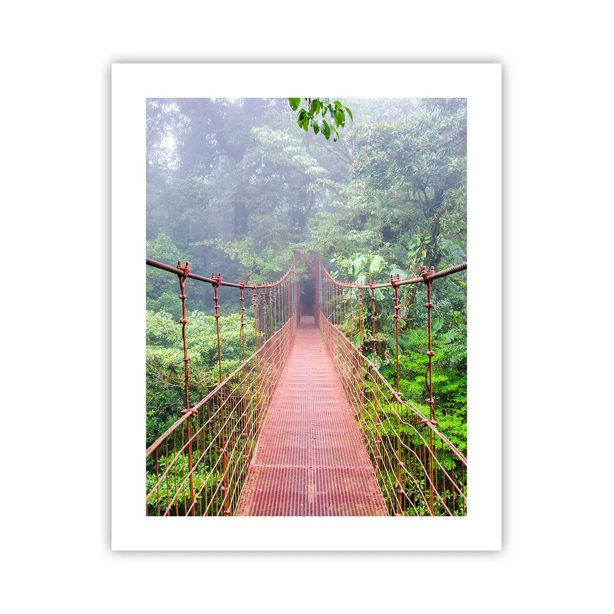 Affiche - Poster - Suspendu sur les couronnes - 40x50 cm