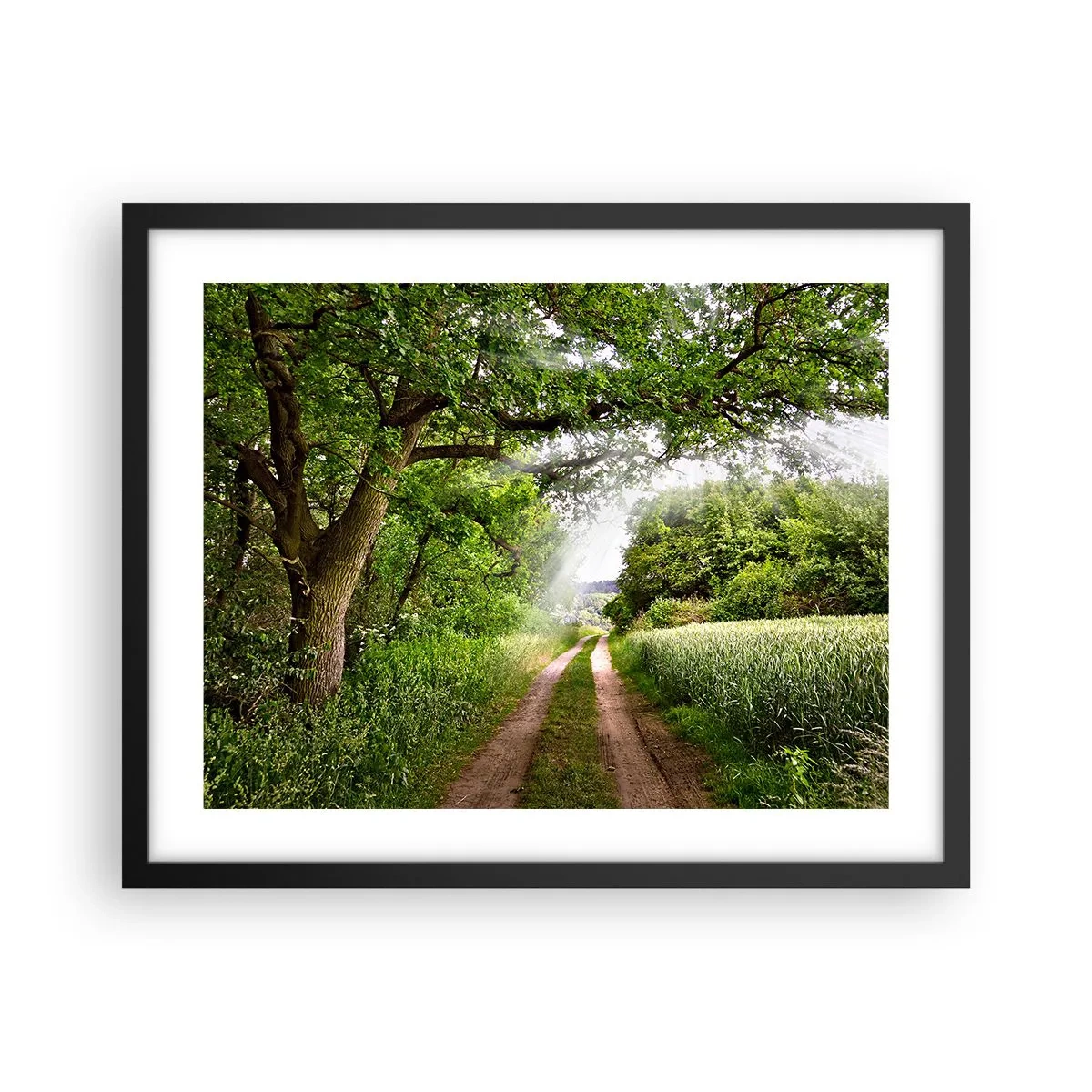 Affiche dans un cadre noir - Poster - Et in Arcadia ego - 50x40 cm