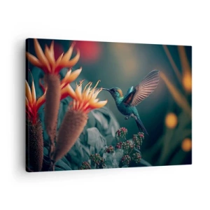 Impression sur toile - Image sur toile - Un colibri coloré parmi des fleurs sur un fond naturel - 70x50cm - une vie vraiment colorée - Décoration murale moderne pour le salon et la chambre ARTTOR