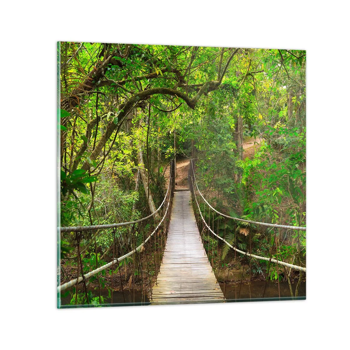 Impression sur verre - Image sur verre - Parce qu'il y a une plante grimpante dans le jardin - 60x60 cm