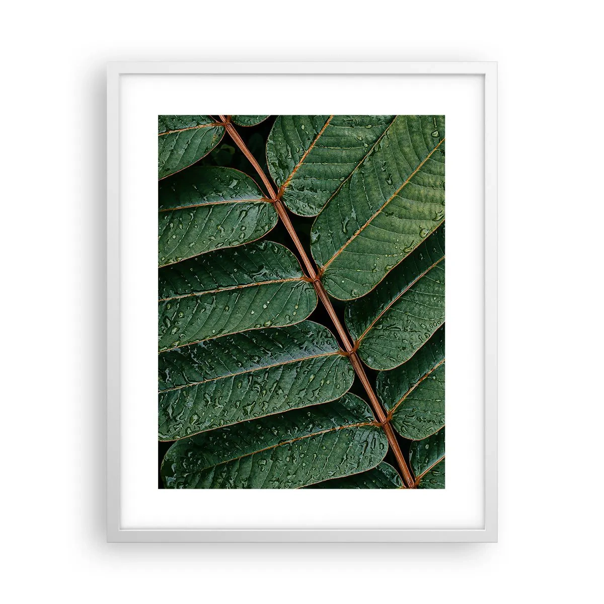 Affiche dans un cadre blanc - Poster - Au rythme de la verdure - 40x50 cm