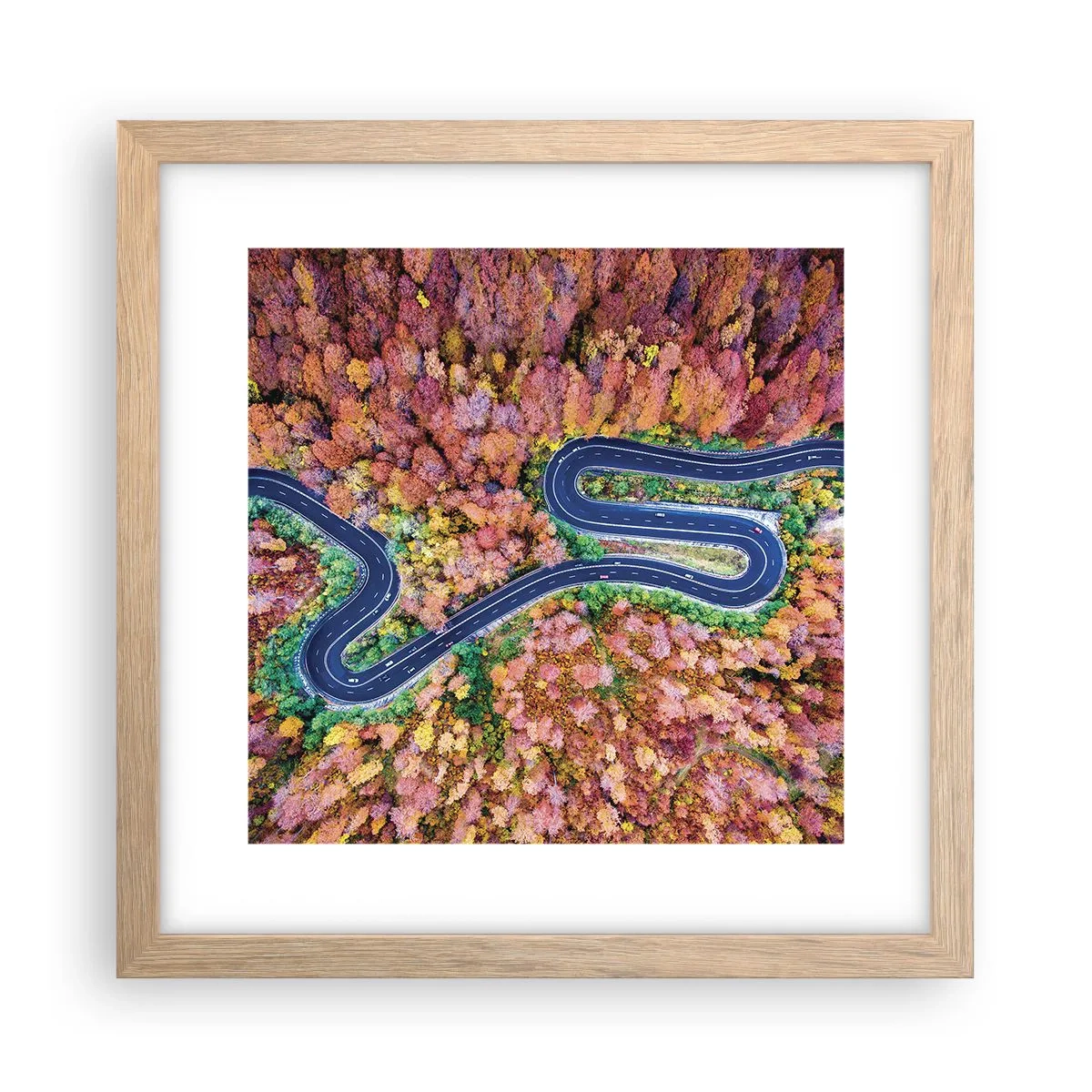 Affiche dans un chêne clair - Poster - Route sinueuse à travers la forêt - 30x30 cm
