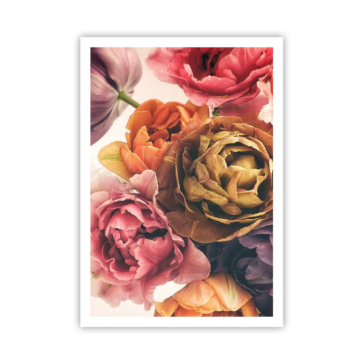 Affiche - Poster - La fête de la vie - 70x100 cm