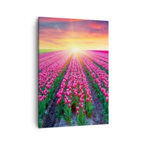 Impression sur toile - Image sur toile - Un champ de tulipes au coucher du soleil - 50x70cm - Ferme de la beauté - Décoration murale moderne pour le salon et la chambre ARTTOR