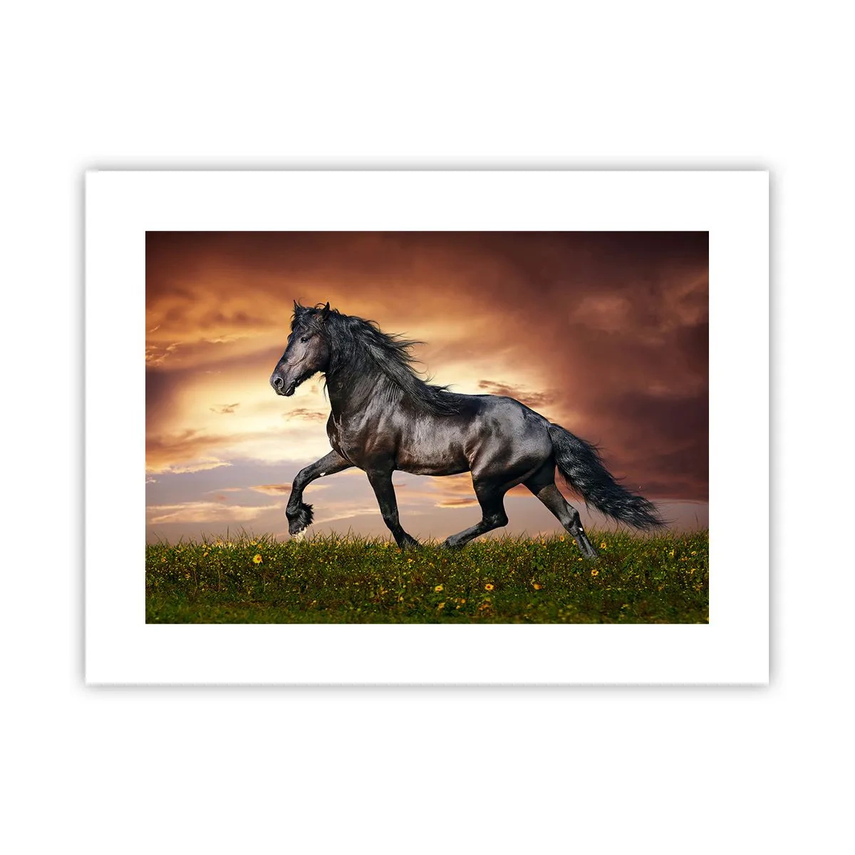 Affiche - Poster - Livres noirs - 40x30 cm