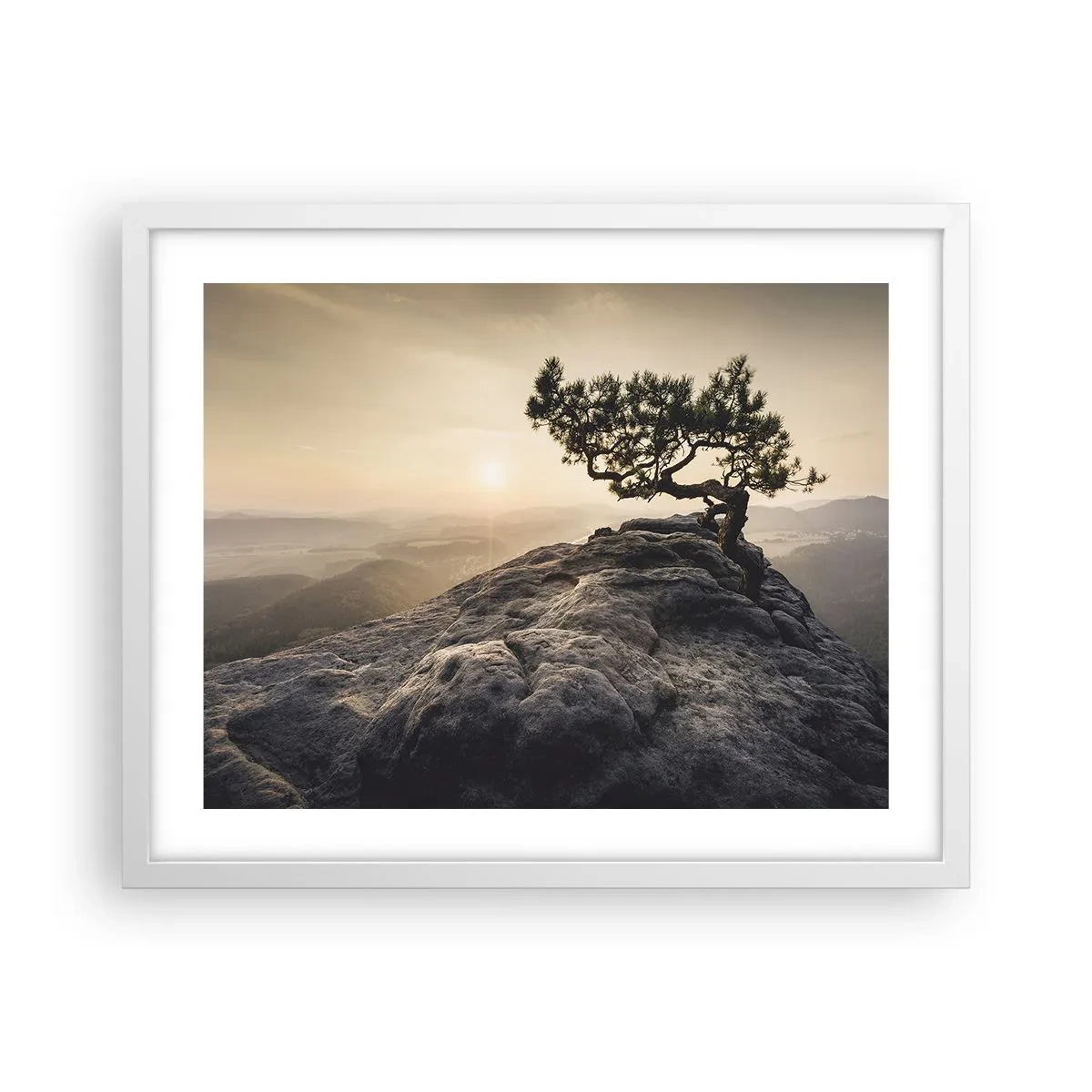 Affiche dans un cadre blanc - Poster - La vie gagne toujours - 50x40 cm