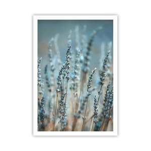 Affiche - Poster - Tige odorante - 70x100 cm