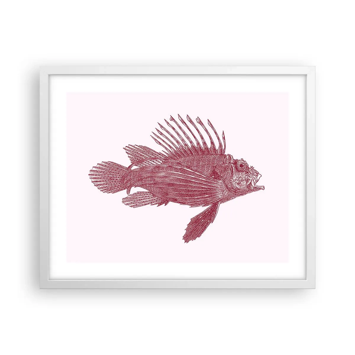 Affiche dans un cadre blanc - Poster - Un habitant des eaux exotiques - 50x40 cm