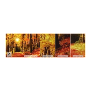 Échantillon de Papier Peint Premium Sand - Automne doré sur une route forestière - Automne, Forêt, Paysage - 100x30 cm