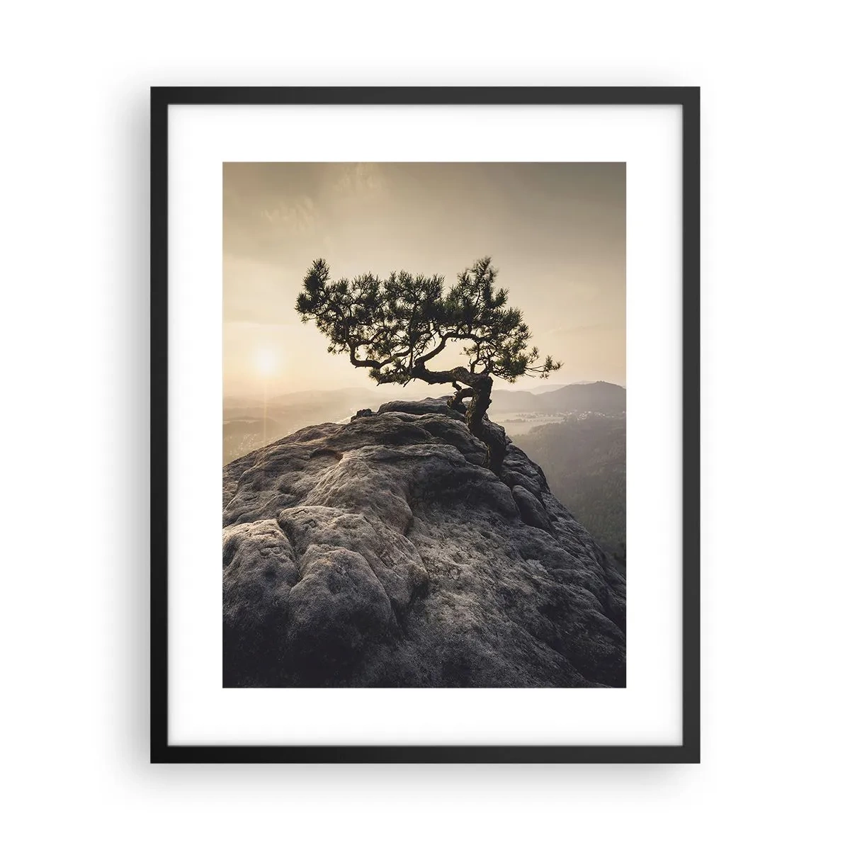 Affiche dans un cadre noir - Poster - La vie gagne toujours - 40x50 cm