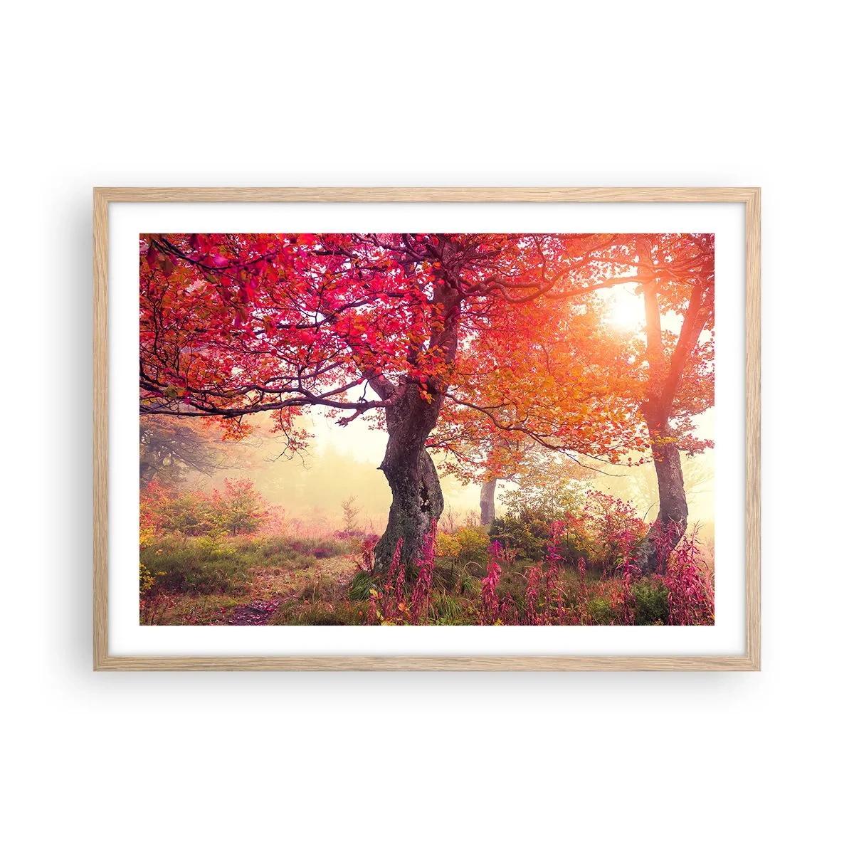 Affiche dans un chêne clair - Poster - Frénésie de floraison - 70x50 cm