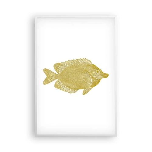 Affiche dans un cadre blanc - Poster - Du poisson et c'est tout - 61x91 cm