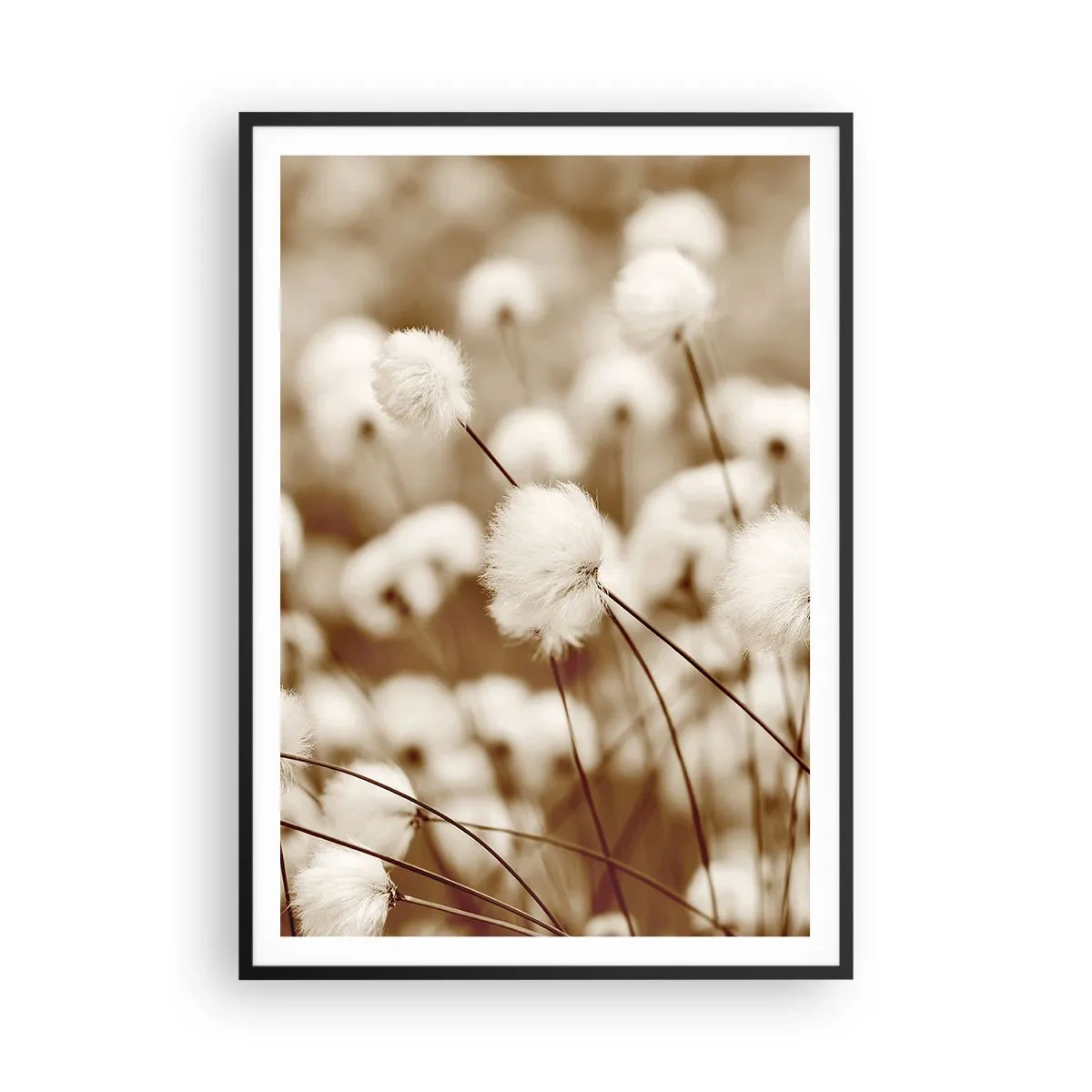 Affiche dans un cadre noir - Poster - Tige moelleuse - 70x100 cm