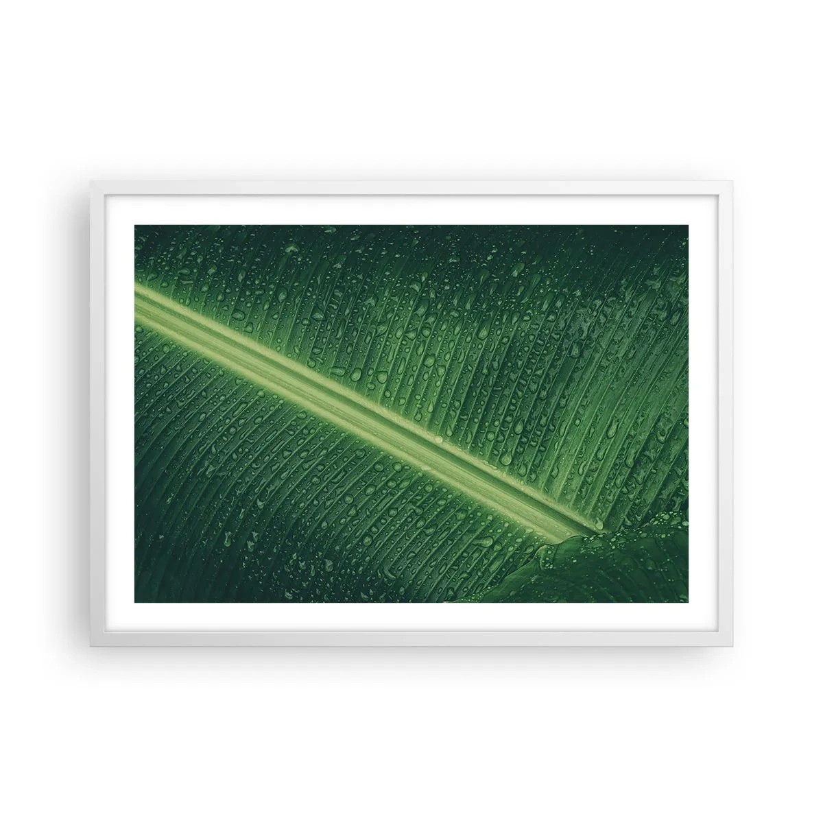 Affiche dans un cadre blanc - Poster - Structure de vert - 70x50 cm
