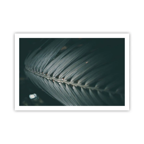 Affiche - Poster - Précision de la nature - 91x61 cm