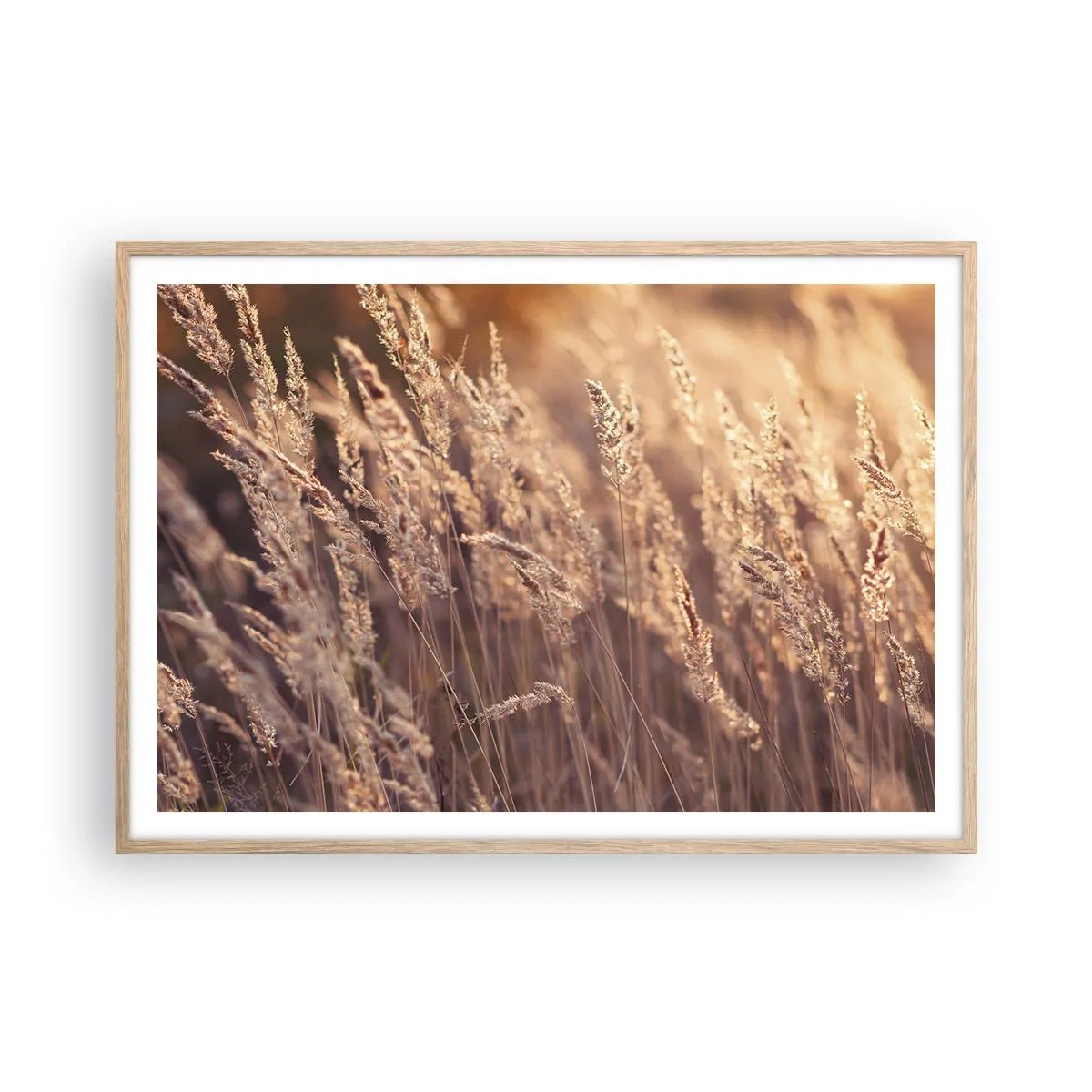 Affiche dans un chêne clair - Poster - Prêt à accueillir l'automne - 100x70 cm