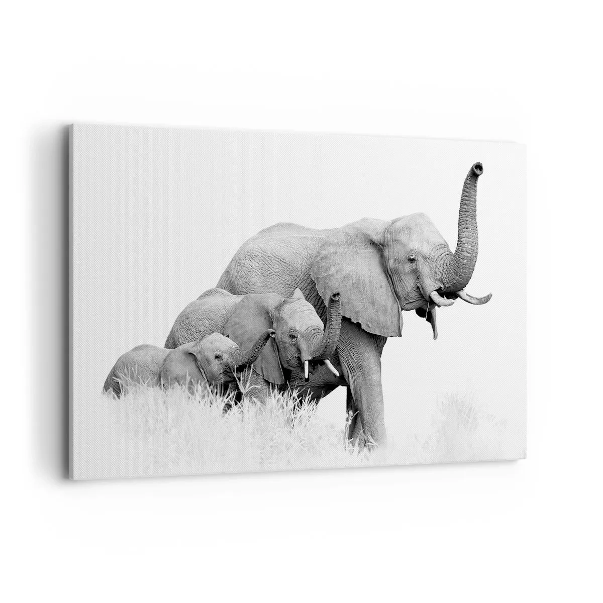 Impression sur toile - Image sur toile - Une famille d'éléphants sur fond de paysage africain en noir et blanc. - 120x80cm - Un, deux, trois - Décoration murale moderne pour le salon et la chambre ARTTOR