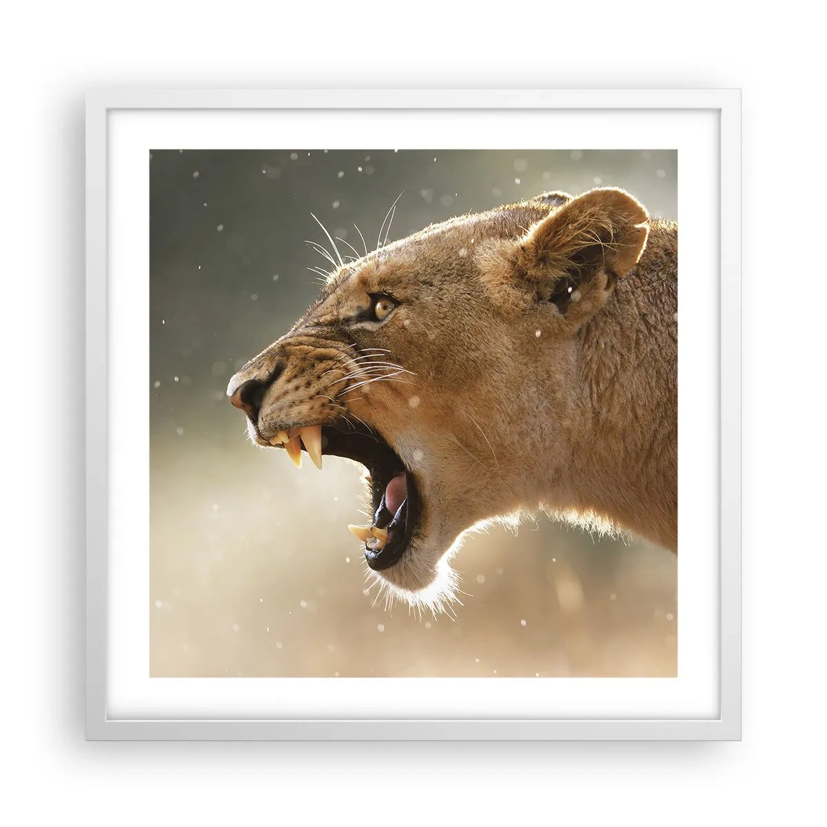 Affiche dans un cadre blanc - Poster - Essayez de ne pas écouter - 50x50 cm