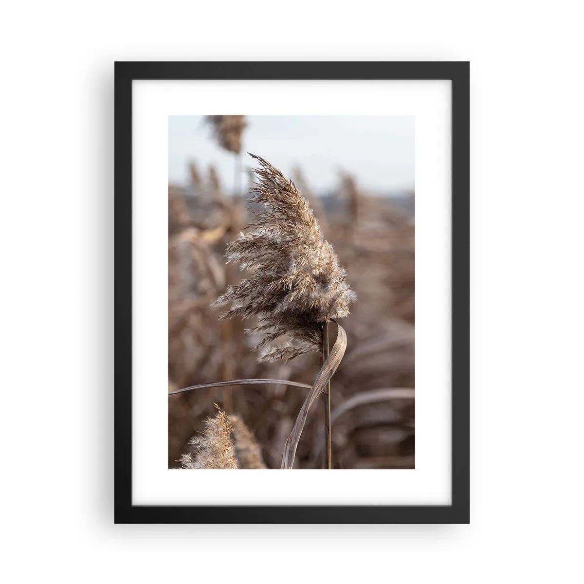 Affiche dans un cadre noir - Poster - Il est temps de s'envoler avec le vent - 30x40 cm