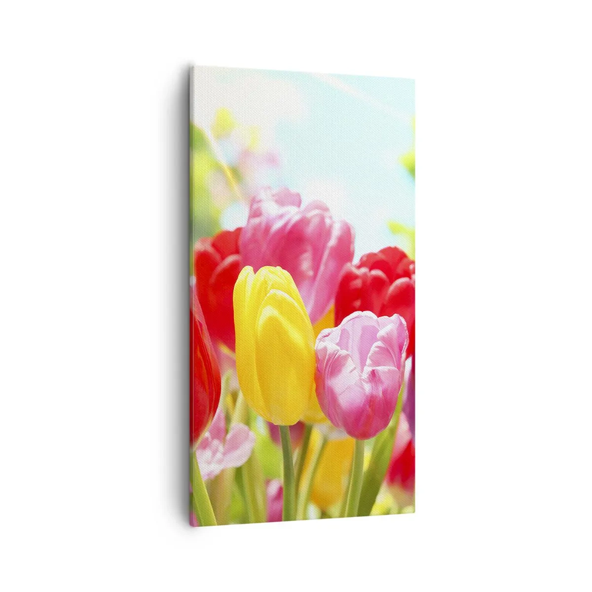 Impression sur toile - Image sur toile - C'est nous, les couleurs de Mai! - 55x100 cm