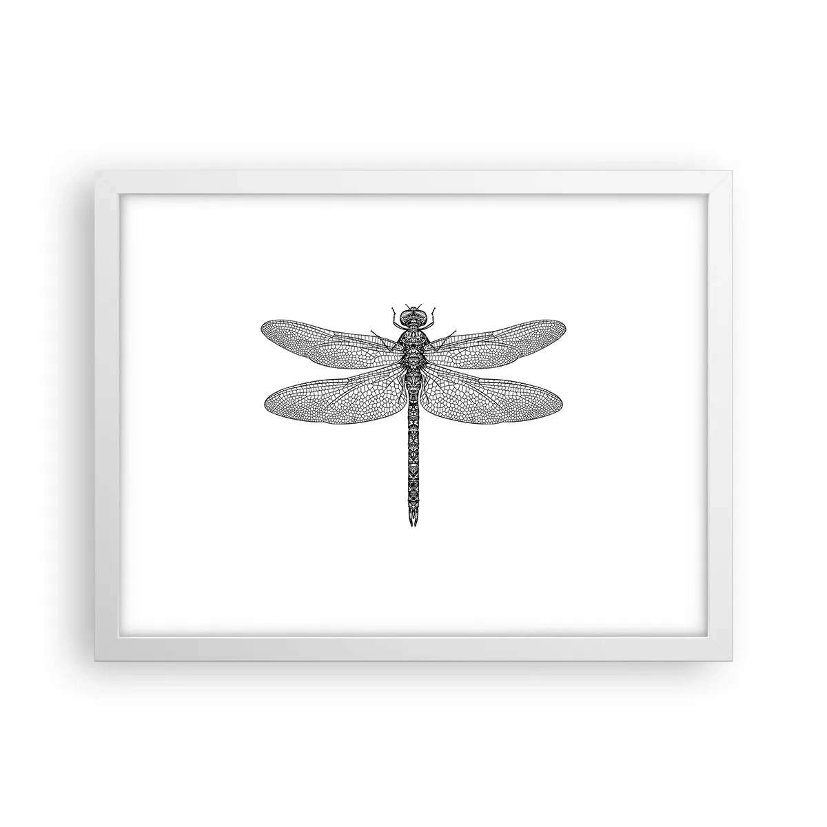 Affiche dans un cadre blanc - Poster - Précision de la nature - 40x30 cm
