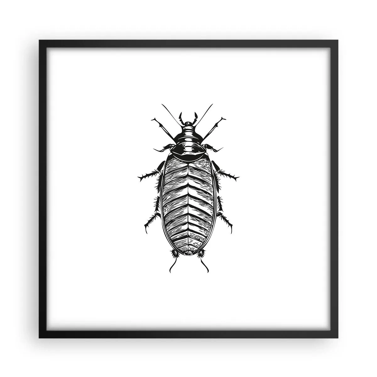 Affiche dans un cadre noir - Poster - Quel spécimen! - 50x50 cm