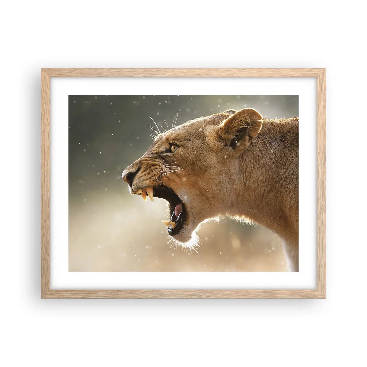 Affiche dans un chêne clair - Poster - Essayez  de ne pas écouter - 50x40 cm