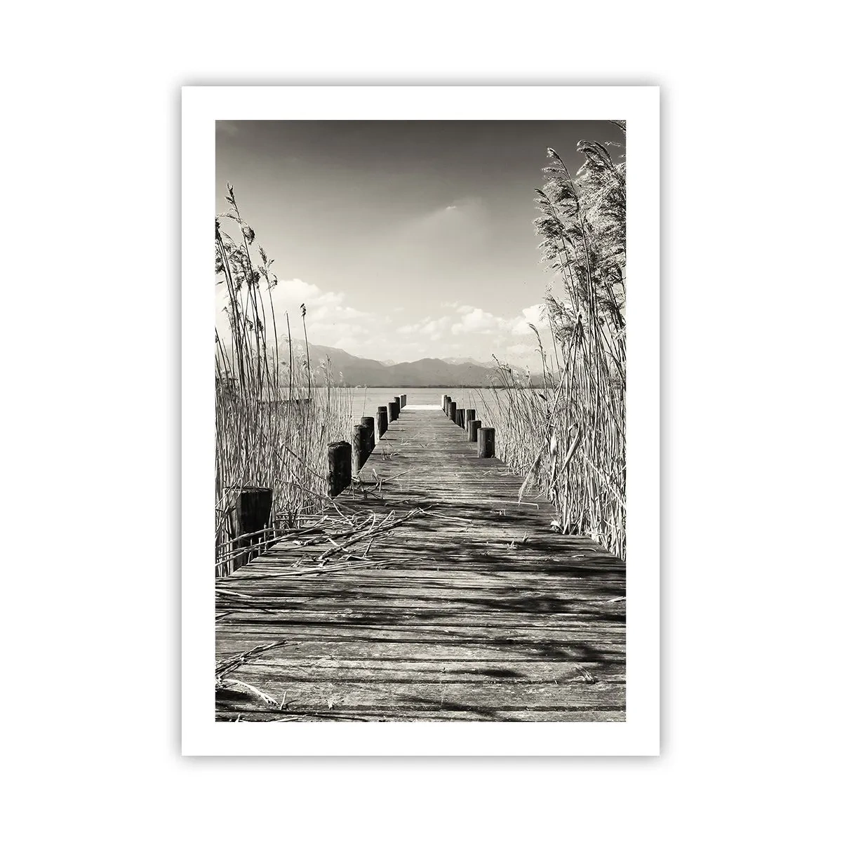 Affiche - Poster - Un pont en bois parmi les roseaux au-dessus d'un lac aux tons sépia - 50x70cm - Dans le calme de l'herbe - Décoration murale moderne pour le salon et la chambre ARTTOR