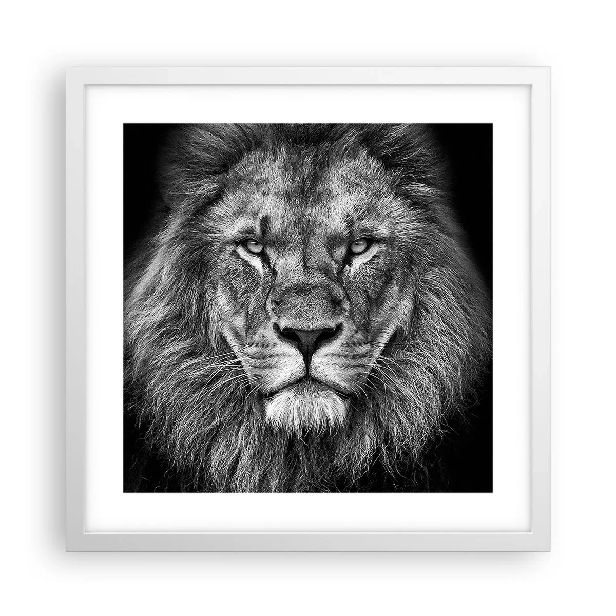 Affiche dans un cadre blanc - Poster - En vêtement de sacre - 40x40 cm