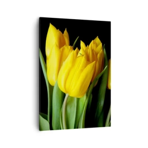 Impression sur toile - Image sur toile - Un bouquet de tulipes jaunes sur fond noir - 50x70cm - Lever de soleil pur - Décoration murale moderne pour le salon et la chambre ARTTOR