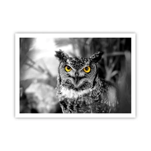 Affiche - Poster - Une photo en noir et blanc d'un hibou aux yeux jaunes - 100x70cm - Rien ne se cachera - Décoration murale moderne pour le salon et la chambre ARTTOR