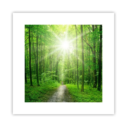 Affiche - Poster - Cathédrale verte - 30x30 cm