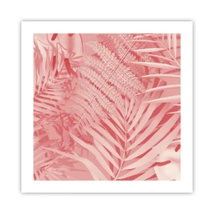 Affiche - Poster - Concept de rose - 50x50 cm